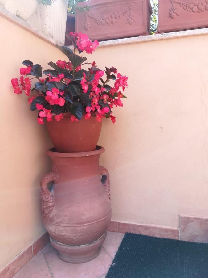 Da Francesca A Pisa Villa Buitenkant foto
